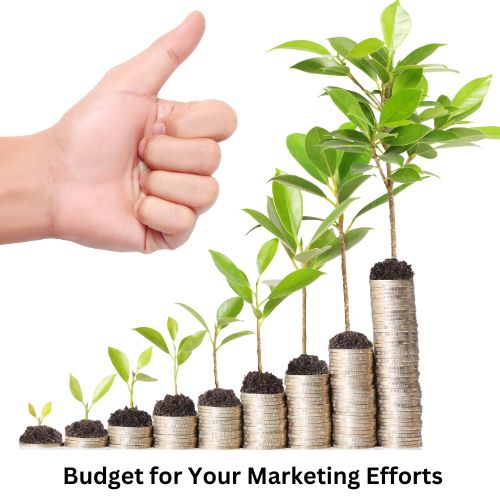 Set a Budget for Your Marketing Efforts