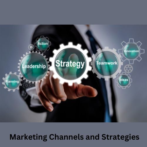 Select Your Marketing Channels and Strategies